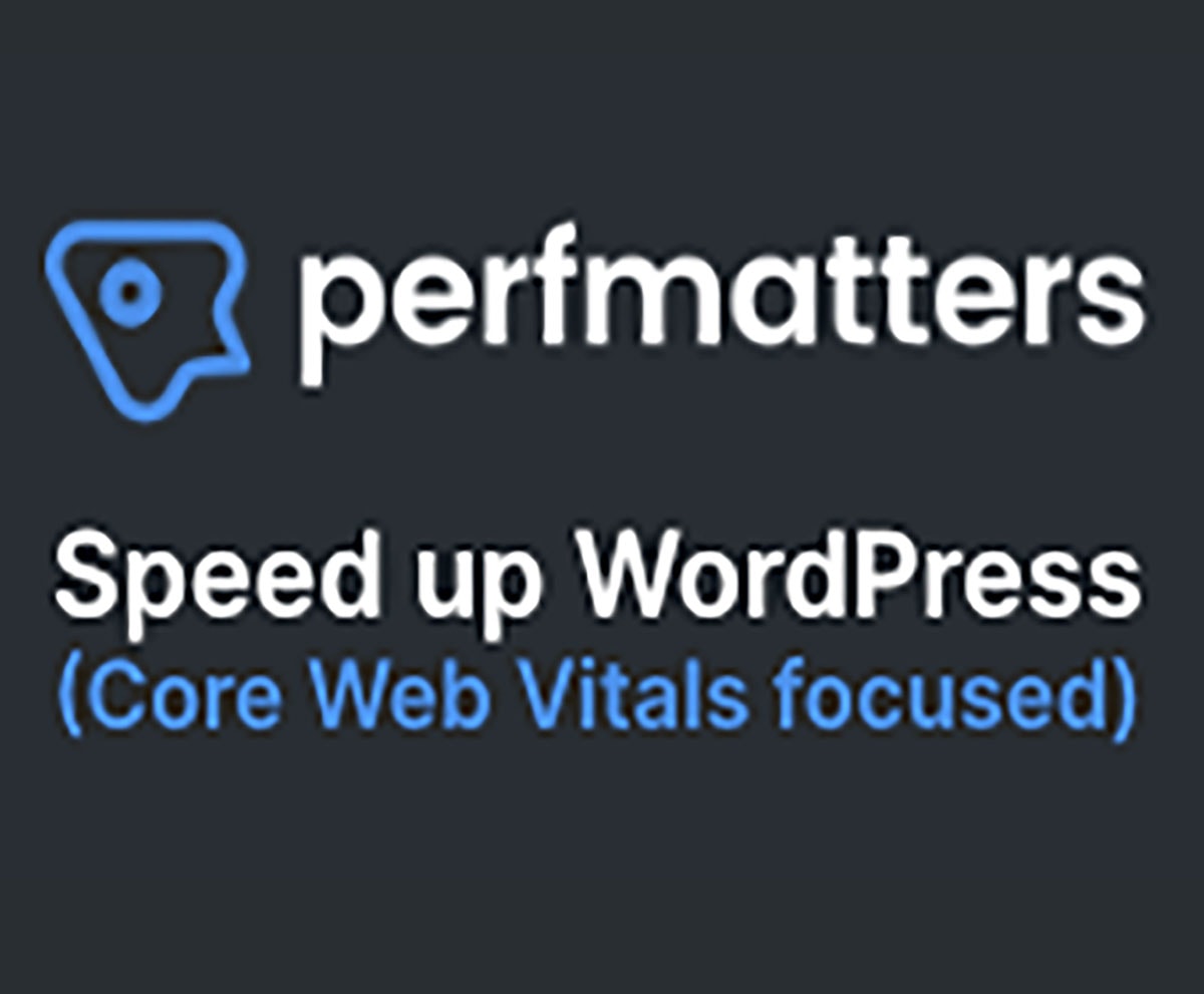 Perfmatters, website performance plugin